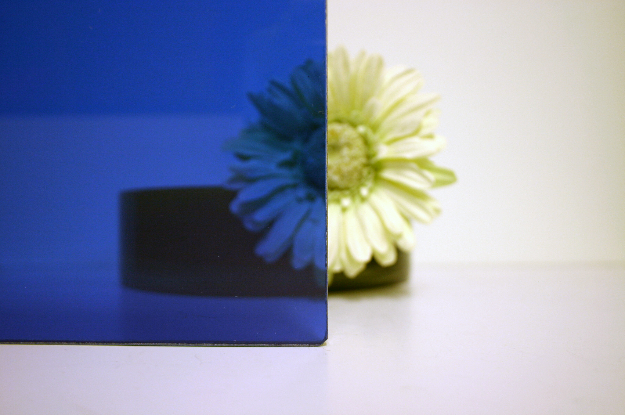 000DTrueBlue